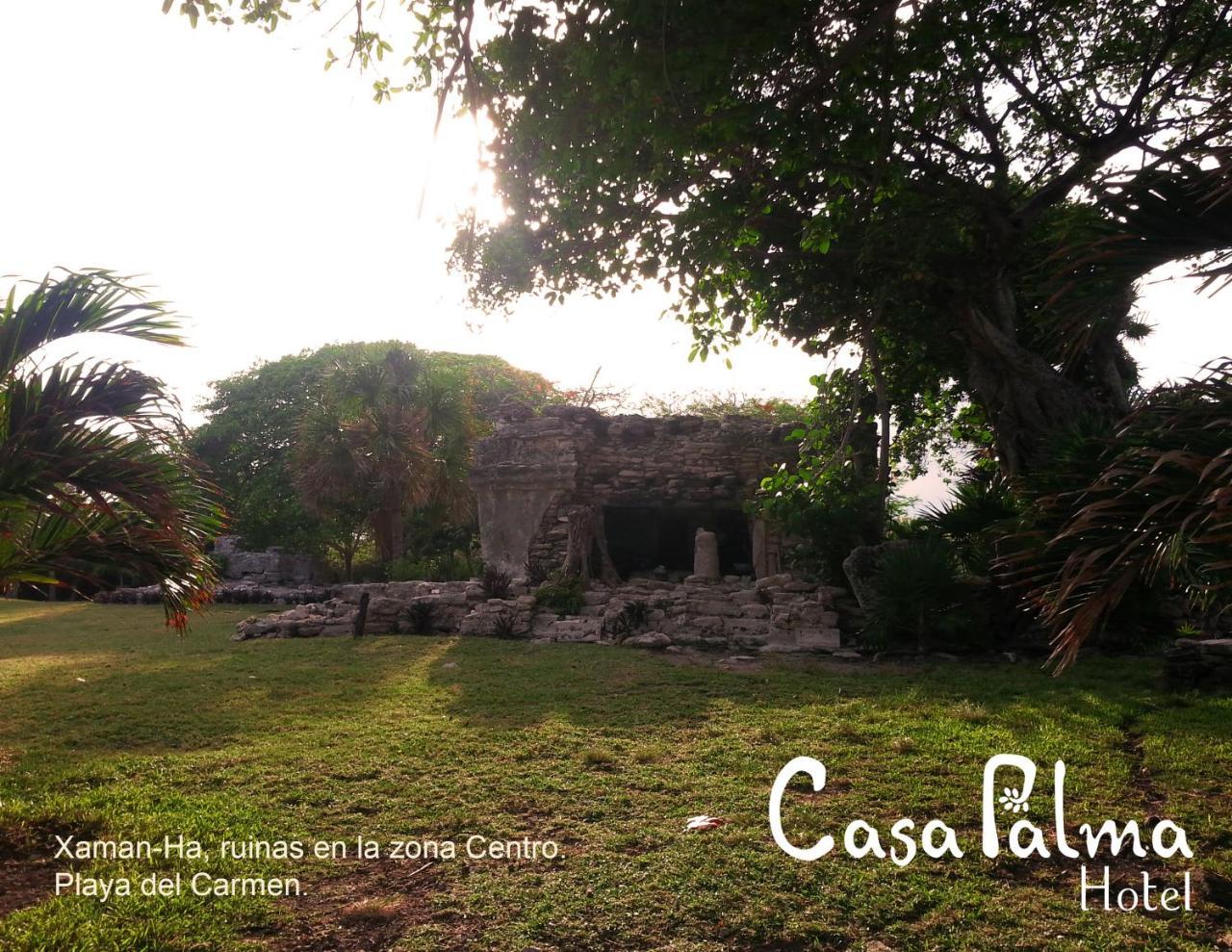 Casa Palma Hotel Playa del Carmen Exterior photo